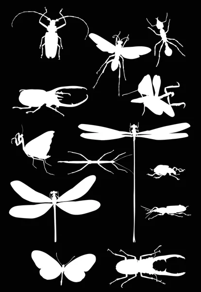 Thirteen isolated white insects — Stock Vector