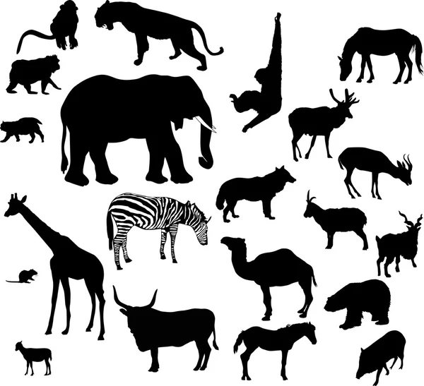 Animal silhouettes set isolated on white — Stock Vector