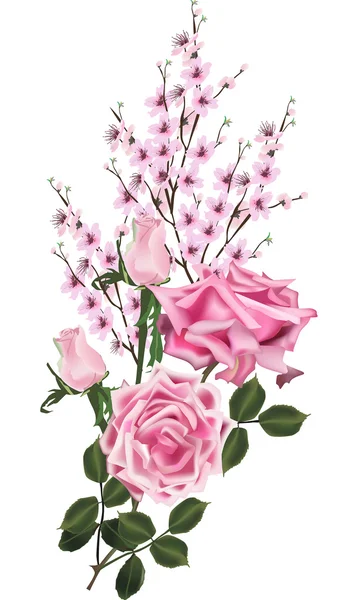Fleurs et roses de cerisier de couleur rose — Image vectorielle