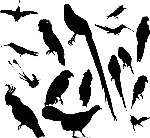 Dieciséis aves negras aisladas — Archivo Imágenes Vectoriales