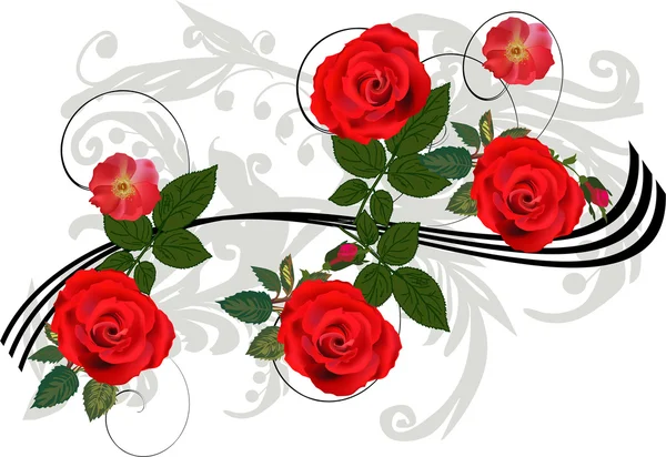 Ramo de rosas rojas sobre rizos grises — Vector de stock