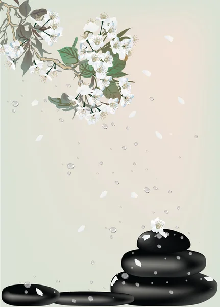 Kersenboom bloemen en zwarte stenen — Stockvector