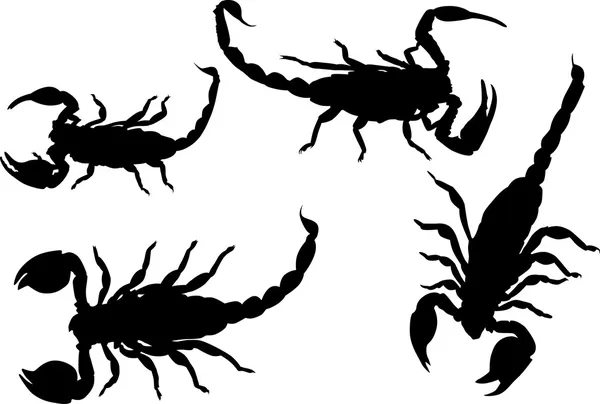 Fyra isolerade scorpions — Stock vektor