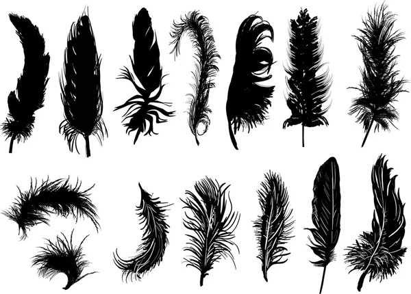 Fourteen black feathers — Stock Vector