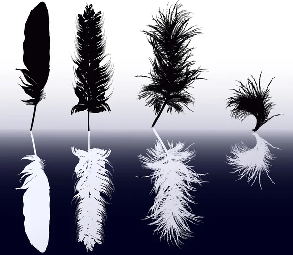 Eight white and black feathers — Stock Vector