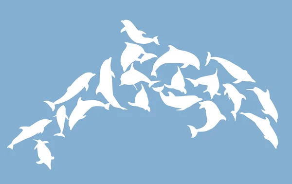 Delfín complejo blanco aislado en azul — Vector de stock