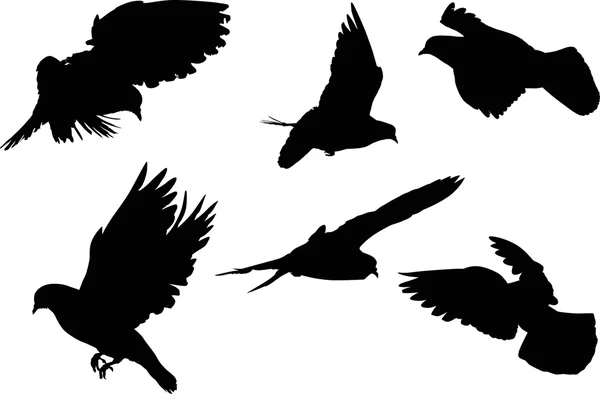 Sinx dove silhouettes isolated on white — Stock Vector