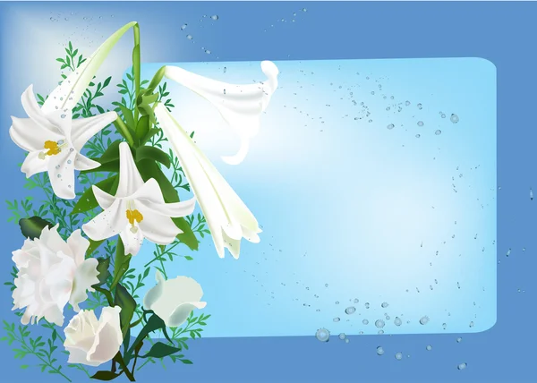 Λευκό τριαντάφυλλο και ο κρίνος λουλούδια σε μπλε — Διανυσματικό Αρχείο
