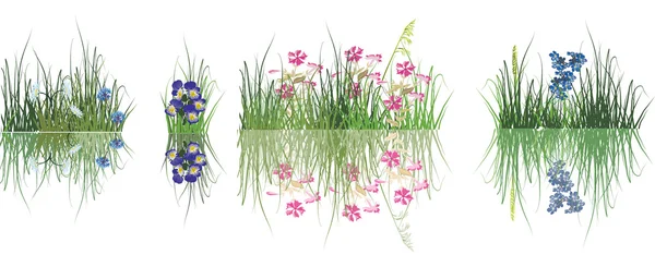 흰색 절연 풀밭에서 꽃의 수집 — 스톡 벡터