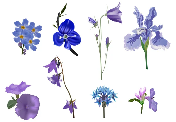 Set van acht blauwe bloemen geïsoleerd op wit — Stockvector