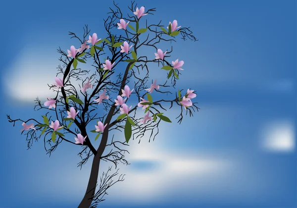 Ağaç bahar çiçeği ve mavi gökyüzü — Stok Vektör
