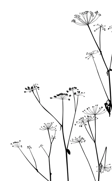 Dry autumn plants corner on white — Stock Vector