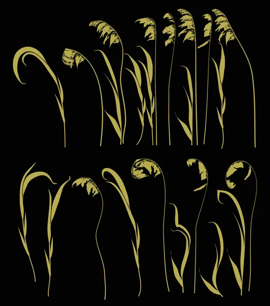 Sada zlatých rostlin na černém pozadí — Stockový vektor
