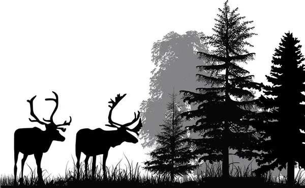 Sylwetki jeleni w lesie — Wektor stockowy