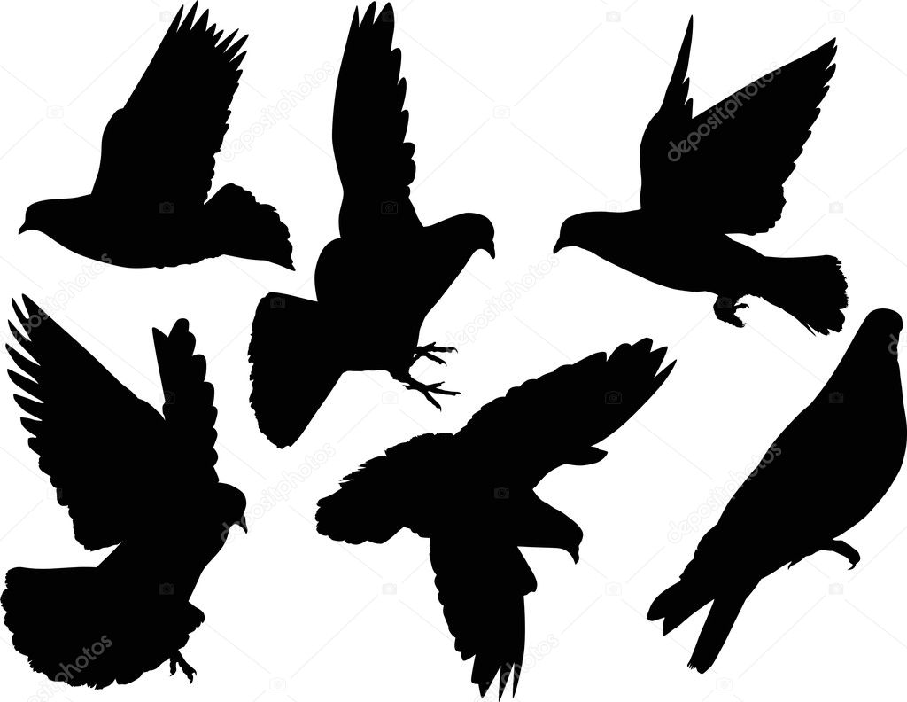 six isolated dove silhouettes