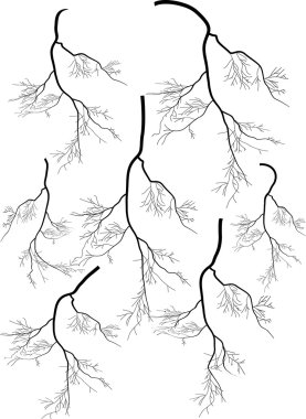 yedi siyah Lightning'ler grubu