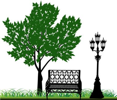 Yeşil Yaz akçaağaç ve tezgah