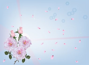 pembe güller ve yaprakları üzerine açık mavi renkli