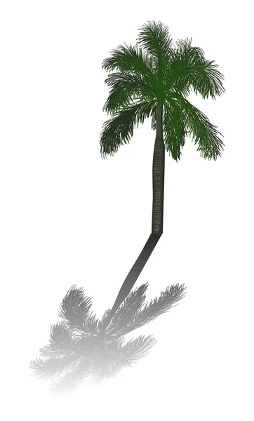 Πράσινο ενιαία palm με σκιά — Διανυσματικό Αρχείο