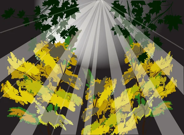 Geel en groen vallen bomen illustratie — Stockvector