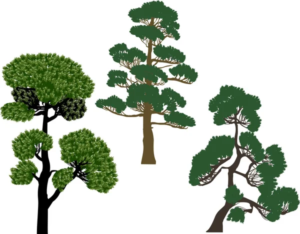 Drei immergrüne Bäume vereinzelt auf weiß gesetzt — Stockvektor