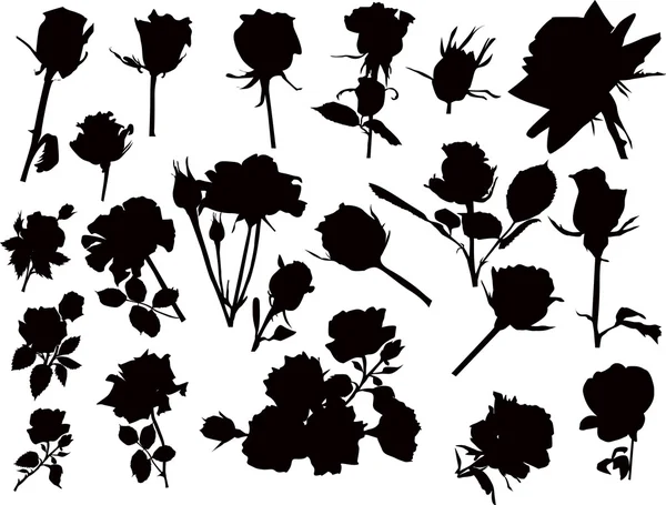 Large set of black roses — Stock Vector