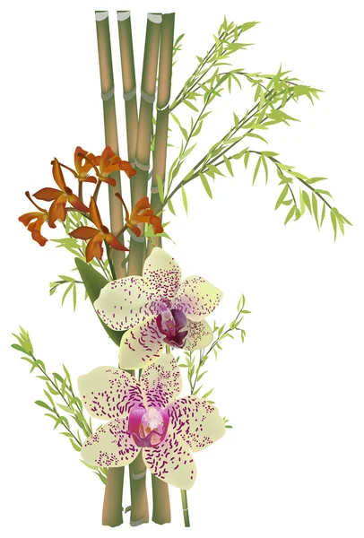 Orchidee macchiettate gialle e bambù verde — Vettoriale Stock