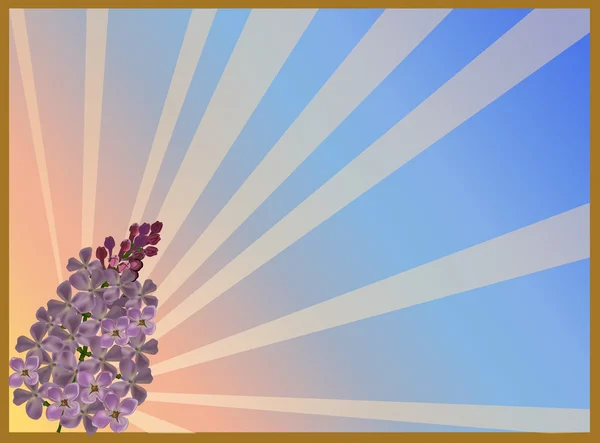 Liliac floare ramură la apus de soare — Vector de stoc