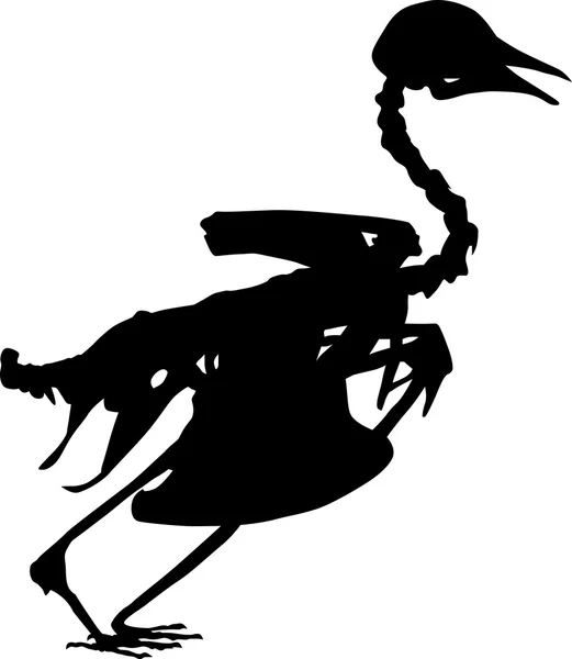 검은 비둘기 해골 흰색 절연 — 스톡 벡터