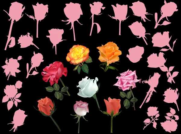Large set of rose flowers isolated on black — Stock Vector