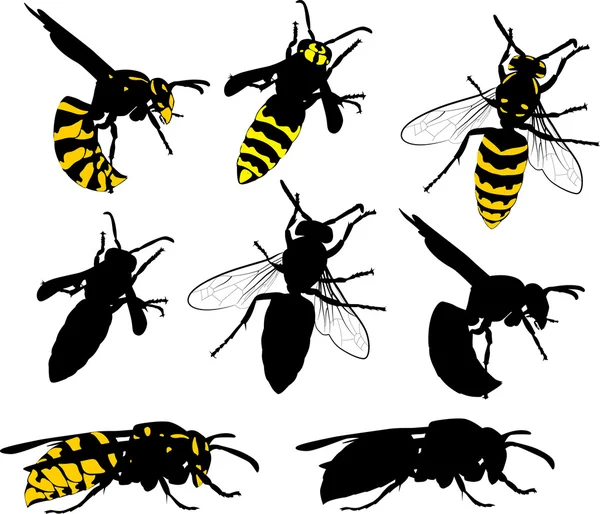 Eight wasps collection on white — Stock Vector