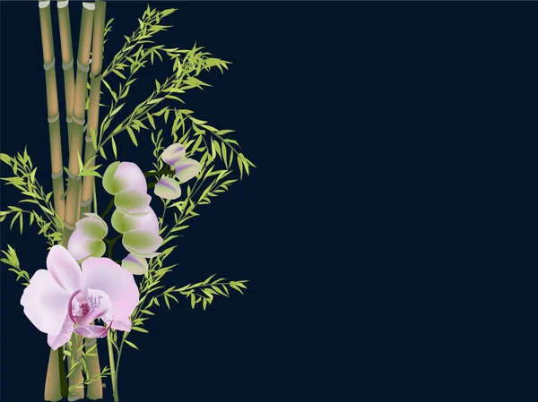 Pink orchid and bamboo branches isolated on black — Stock Vector