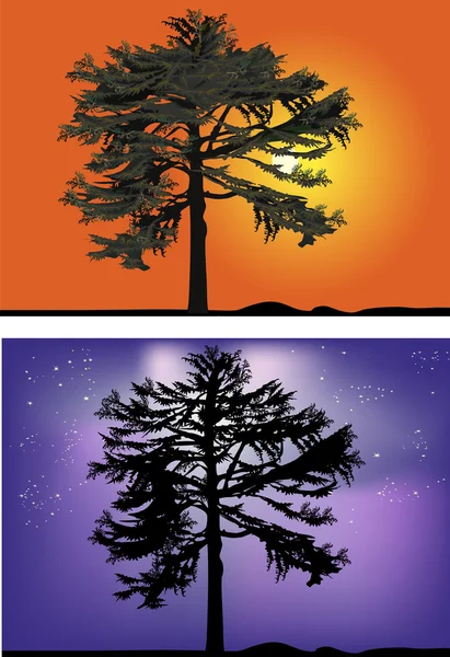 在晚上和日落的绿色松树 — 图库矢量图片