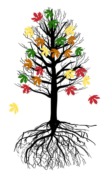 Pád stromu s root — Stockový vektor