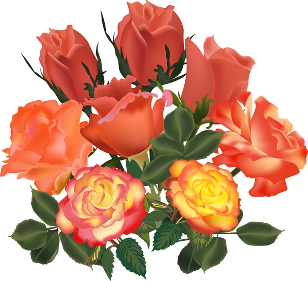 Grand bouquet de roses orange isolé sur blanc — Image vectorielle