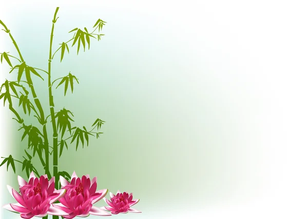 Yeşil arka plan bambu ve pembe lily çiçekler — Stok Vektör
