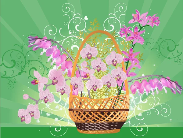 Rosa Orchideenblüten im Korb — Stockvektor
