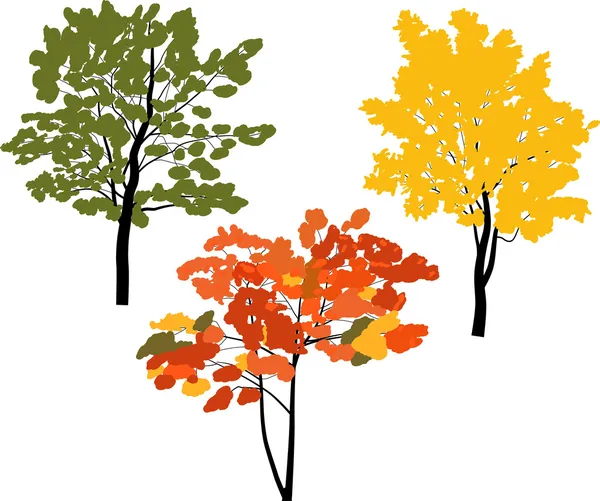 Three autumn trees — Stock Vector