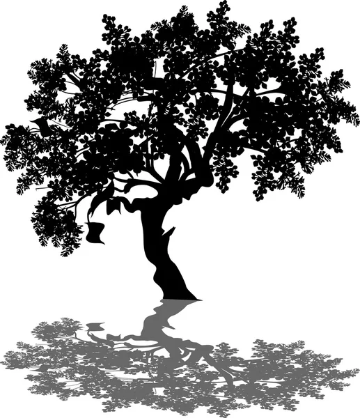 Listnatý strom a reflexe izolovaných na bílém — Stockový vektor