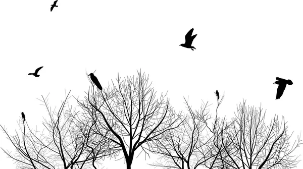 Απομονωμένες γυμνά δέντρα και πουλιά σιλουέτες — Διανυσματικό Αρχείο