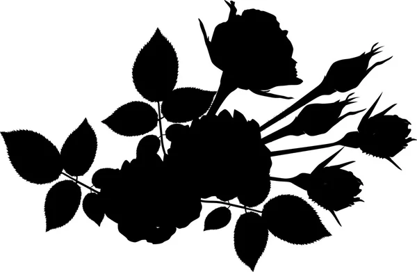 Cacho de rosas silhueta no fundo branco — Vetor de Stock