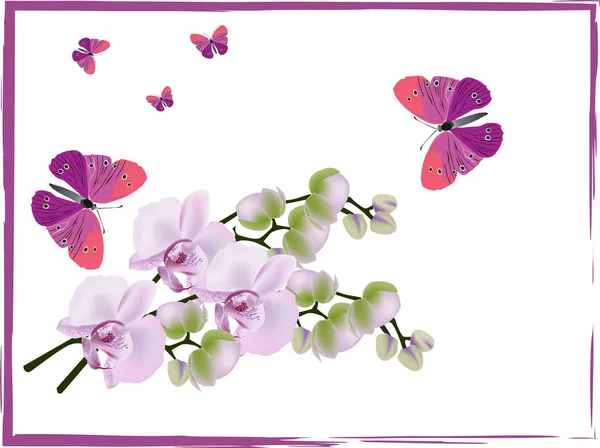 Világos rózsaszín orchideák és a sötét pillangók — Stock Vector