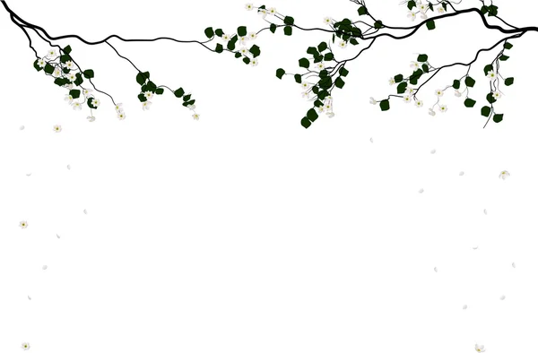 Marco de ramas de flor de sakura — Archivo Imágenes Vectoriales