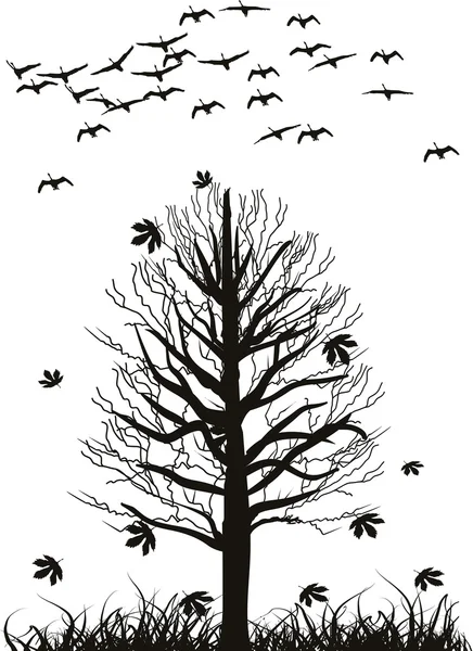 Swans and tree in late autumn — Stock Vector