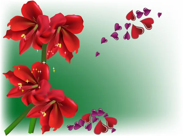 Red amaryllis flowers and hearts — Stock Vector