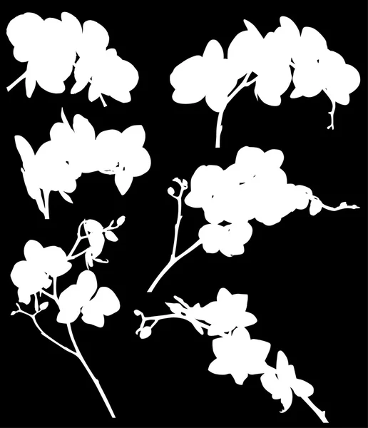Collection of orchid silhouettes isolated on black — Stock Vector