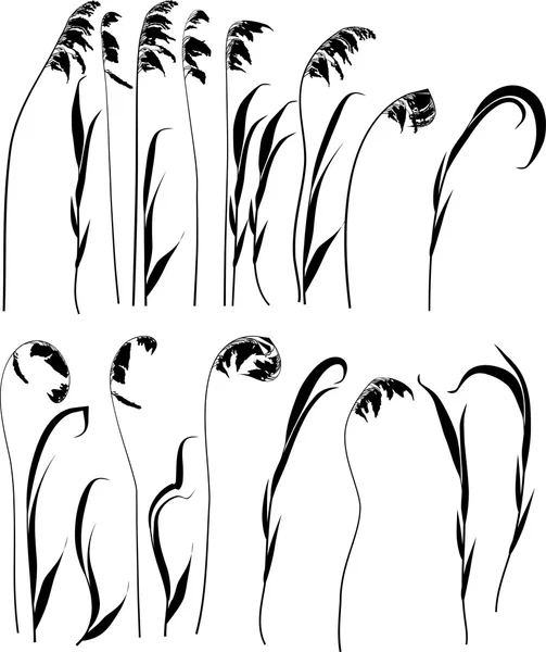 Set of twenty three plant silhouettes — Stock Vector