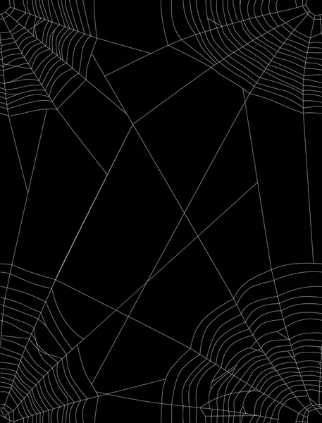 Spider white web čtyři rohy — Stockový vektor