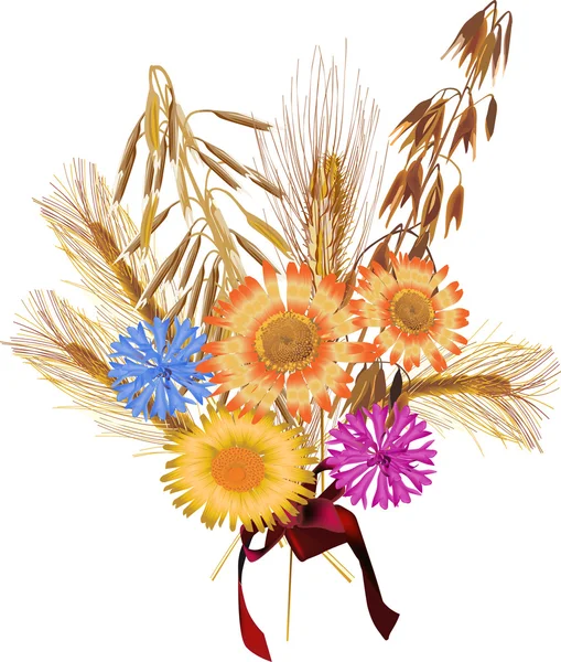 Cereais e flores ilustração —  Vetores de Stock