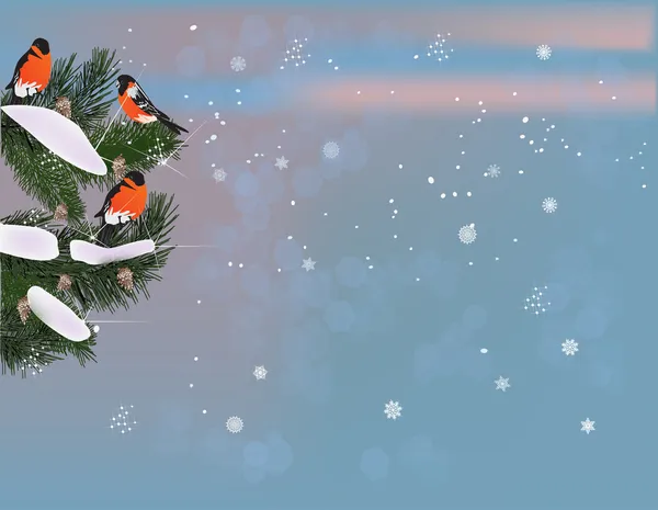 Birds on winter fir branches — Stock Vector